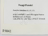 登錄號:F0005842藏品圖，第2張