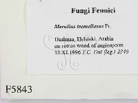 登錄號:F0005843藏品圖，第2張