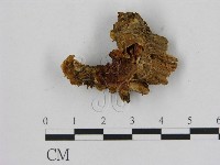 登錄號:F0005843藏品圖，第1張