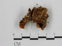 登錄號:F0005843藏品圖，第3張