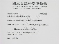 登錄號:F0005844藏品圖，第2張