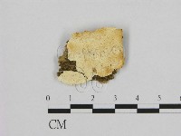 登錄號:F0005844藏品圖，第1張