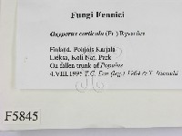 登錄號:F0005845藏品圖，第2張