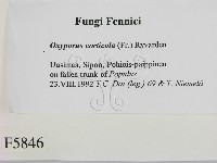 登錄號:F0005846藏品圖，第2張