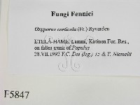 登錄號:F0005847藏品圖，第2張