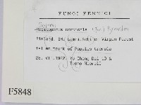 登錄號:F0005848藏品圖，第2張