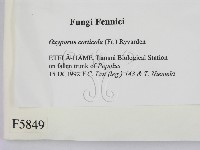 登錄號:F0005849藏品圖，第2張