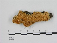 登錄號:F0005849藏品圖，第1張