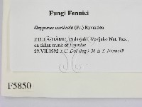登錄號:F0005850藏品圖，第2張