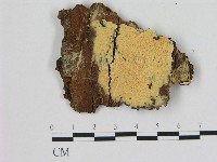 登錄號:F0005850藏品圖，第1張