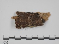 登錄號:F0005852藏品圖，第1張