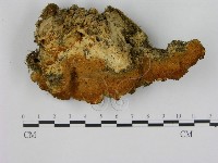 登錄號:F0005854藏品圖，第1張