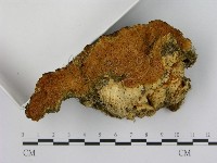 登錄號:F0005854藏品圖，第3張