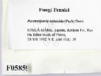 登錄號:F0005855藏品圖，第2張