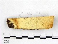 登錄號:F0005855藏品圖，第1張
