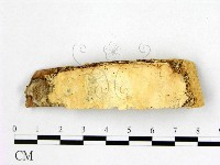 登錄號:F0005855藏品圖，第3張