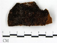 登錄號:F0005856藏品圖，第1張