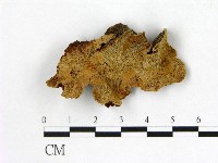 登錄號:F0005858藏品圖，第1張