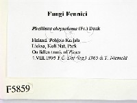 登錄號:F0005859藏品圖，第2張