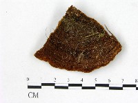 登錄號:F0005859藏品圖，第1張