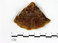 登錄號:F0005859藏品圖，第3張