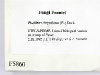 登錄號:F0005860藏品圖，第2張