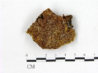 登錄號:F0005860藏品圖，第1張