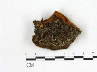 登錄號:F0005860藏品圖，第3張