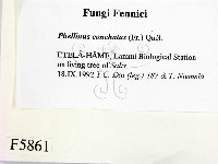 登錄號:F0005861藏品圖，第2張