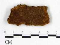 登錄號:F0005861藏品圖，第1張