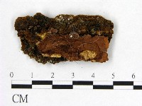 登錄號:F0005861藏品圖，第3張