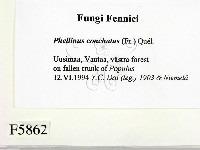 登錄號:F0005862藏品圖，第2張