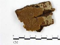 登錄號:F0005862藏品圖，第1張