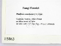 登錄號:F0005863藏品圖，第2張