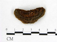 登錄號:F0005863藏品圖，第3張