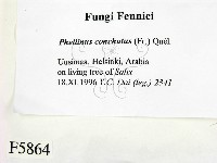 登錄號:F0005864藏品圖，第2張