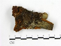 登錄號:F0005864藏品圖，第1張