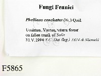 登錄號:F0005865藏品圖，第2張