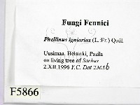 登錄號:F0005866藏品圖，第2張