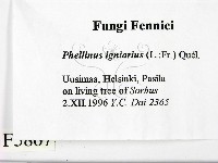 登錄號:F0005867藏品圖，第2張