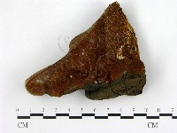 登錄號:F0005867藏品圖，第1張