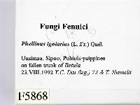 登錄號:F0005868藏品圖，第2張