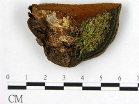 登錄號:F0005868藏品圖，第3張