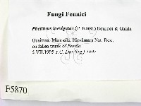 登錄號:F0005870藏品圖，第2張