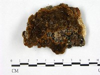 登錄號:F0005870藏品圖，第1張