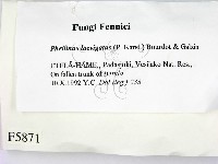 登錄號:F0005871藏品圖，第2張