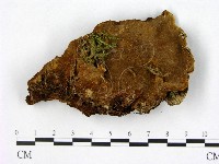 登錄號:F0005872藏品圖，第1張