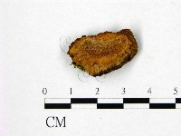 登錄號:F0005873藏品圖，第1張