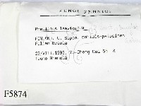 登錄號:F0005874藏品圖，第2張