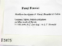 登錄號:F0005875藏品圖，第2張